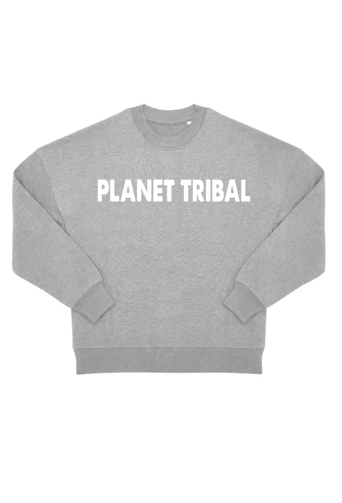 Unisex oversized Astro sweater - Moon grey