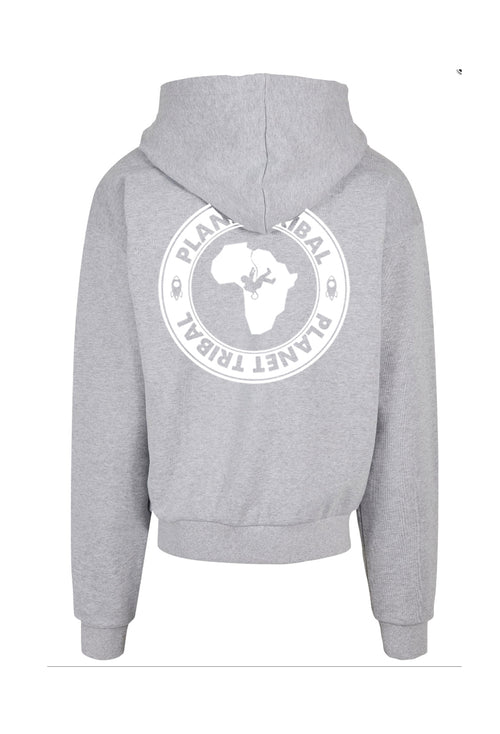 Grey Unisex Astro Hoodie – Small Chest font - Large Back Logo